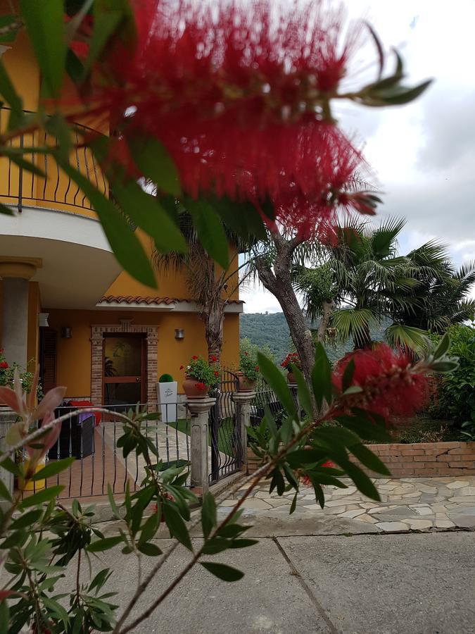 San Pietro Bed & Breakfast Mileto Ngoại thất bức ảnh